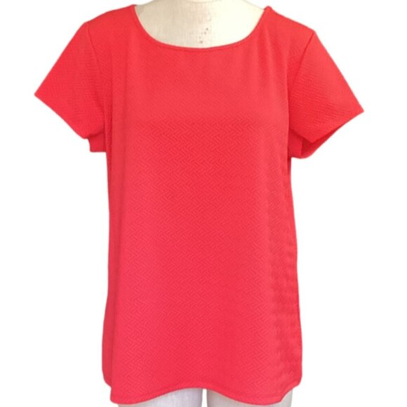 Bundle of 2 Jaclyn Smith Short Sleeve Knit Tops 2XL Blue & Red NWT #169H - Picture 3 of 11